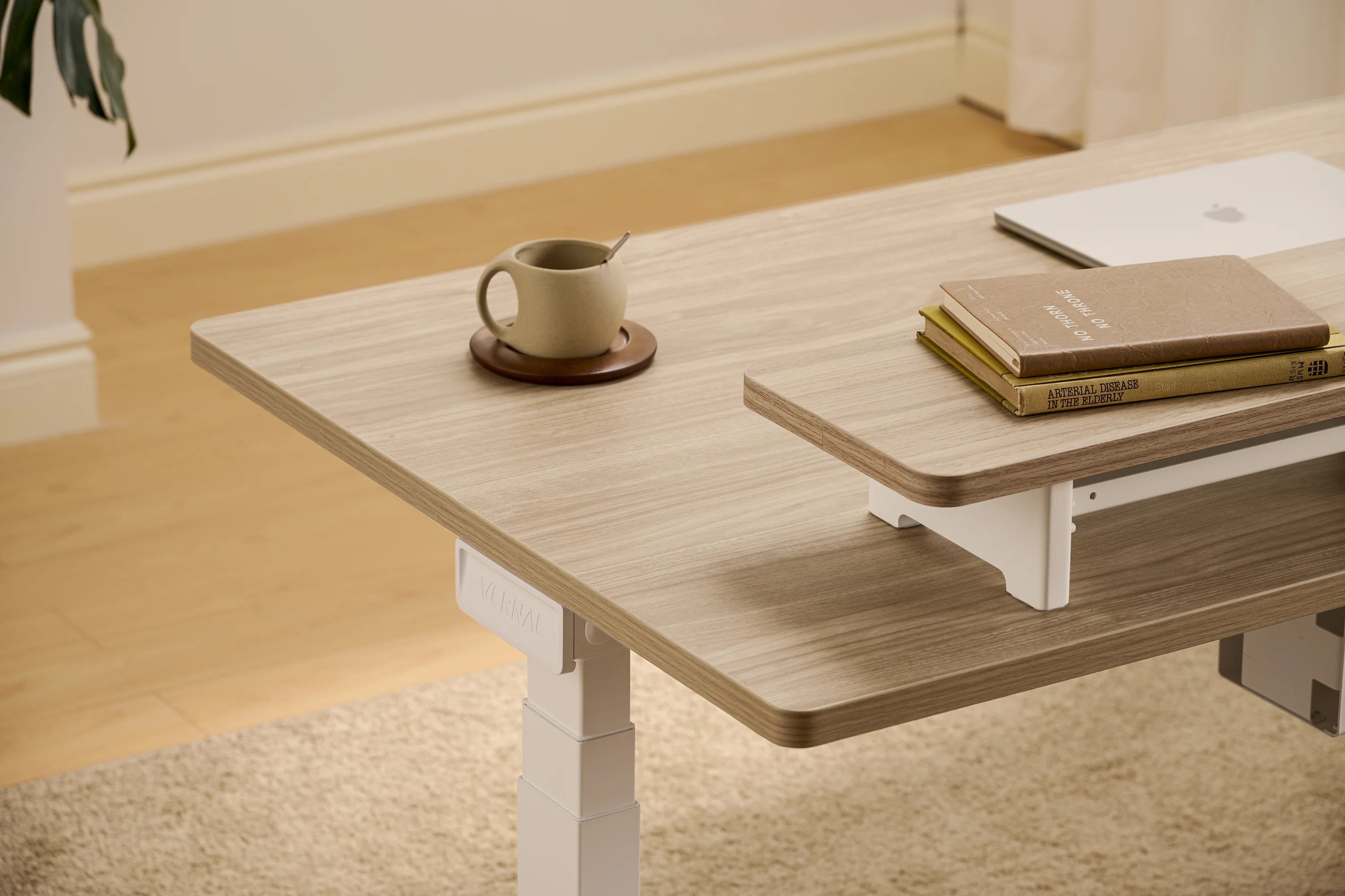 Vernal Core3 Standing Desk - Image 12